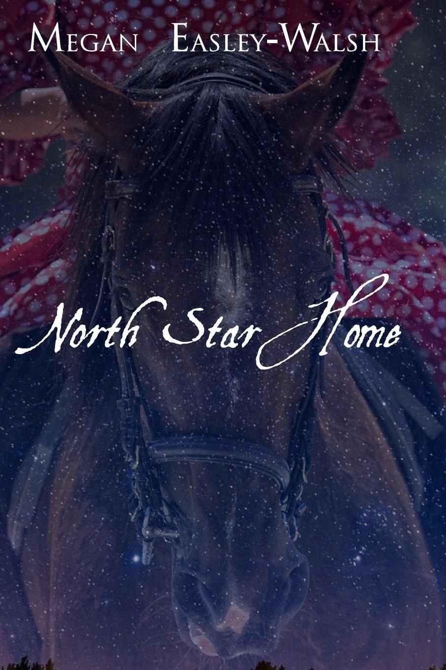 фото North Star Home