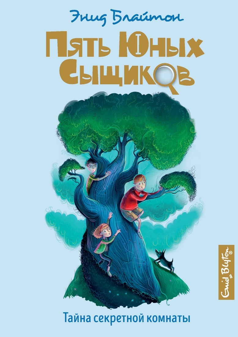 Тайна секретной комнаты книга