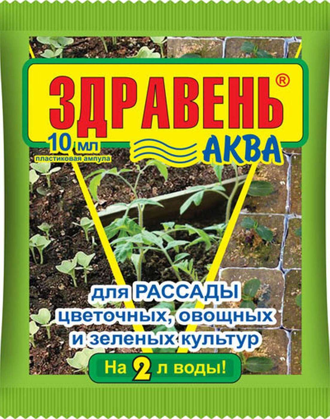 Рассада Цветов Интернет Магазин Михайловск Отзывы Покупателей
