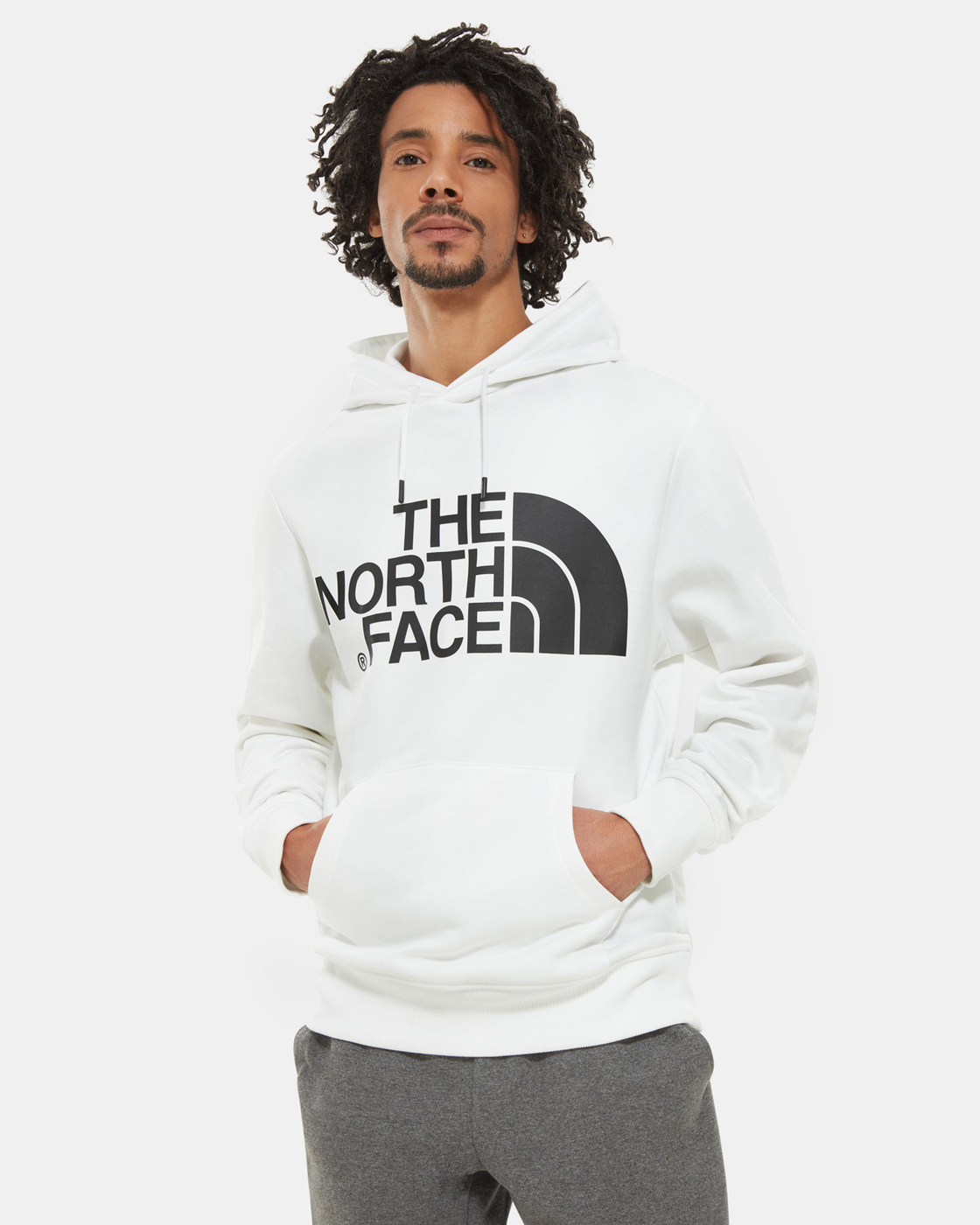 the north face standard hoodie