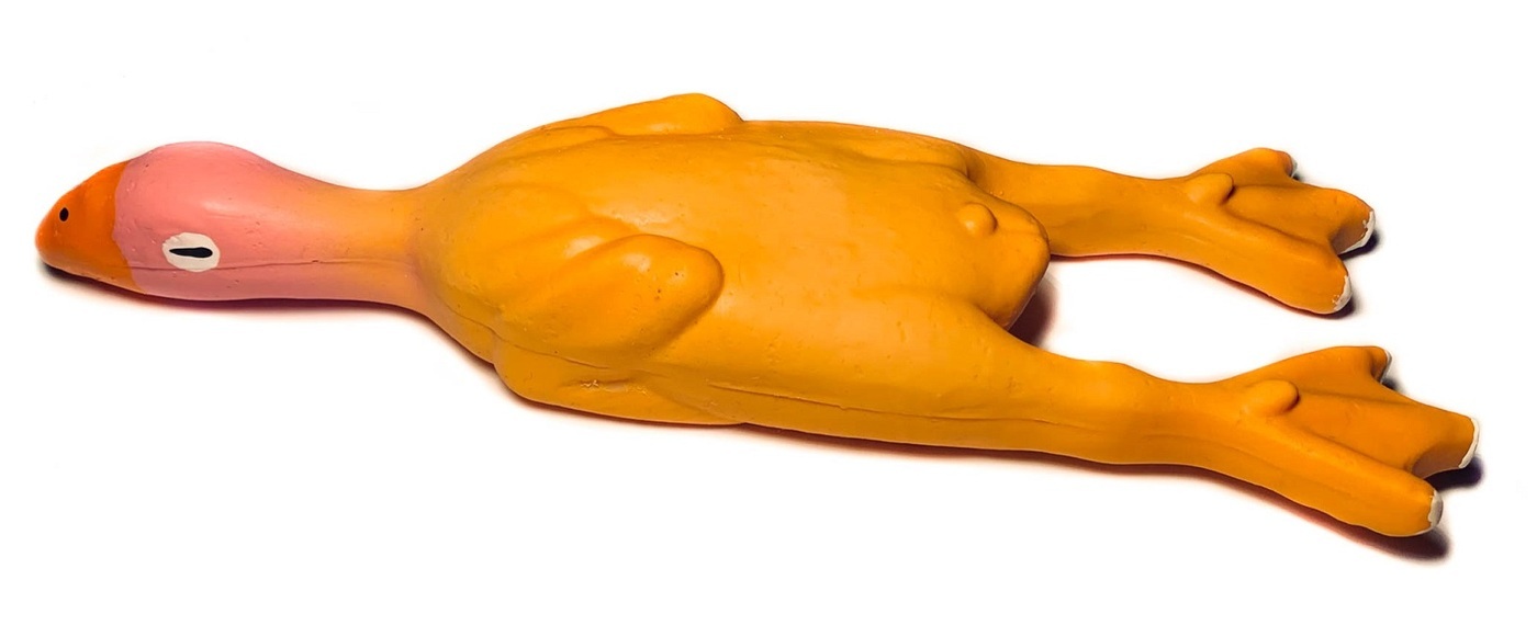 утка 24. чирок-свистунок на чермянке. чучело хохлатая чернеть. утка 24. чирок-свистунок.