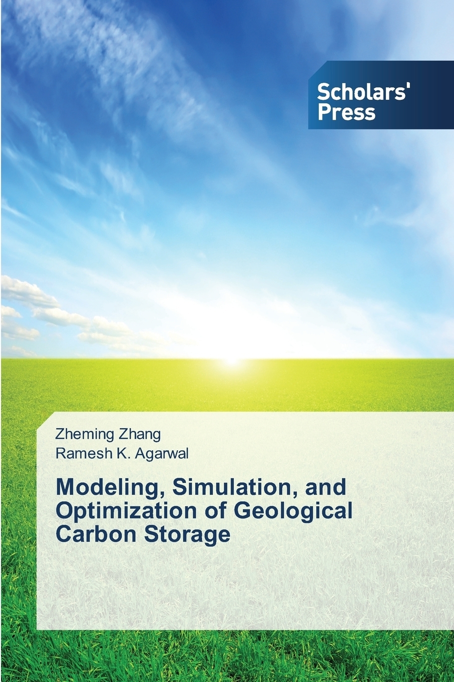 modeling-simulation-and-optimization-of-geological-carbon