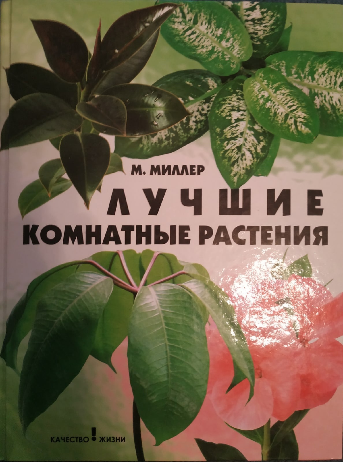 Интернет Магазин 5 Отзывы