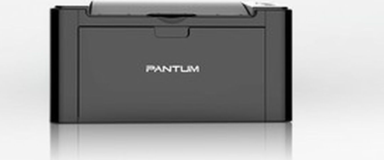 Принтер Лазерный Pantum P2516 Купить