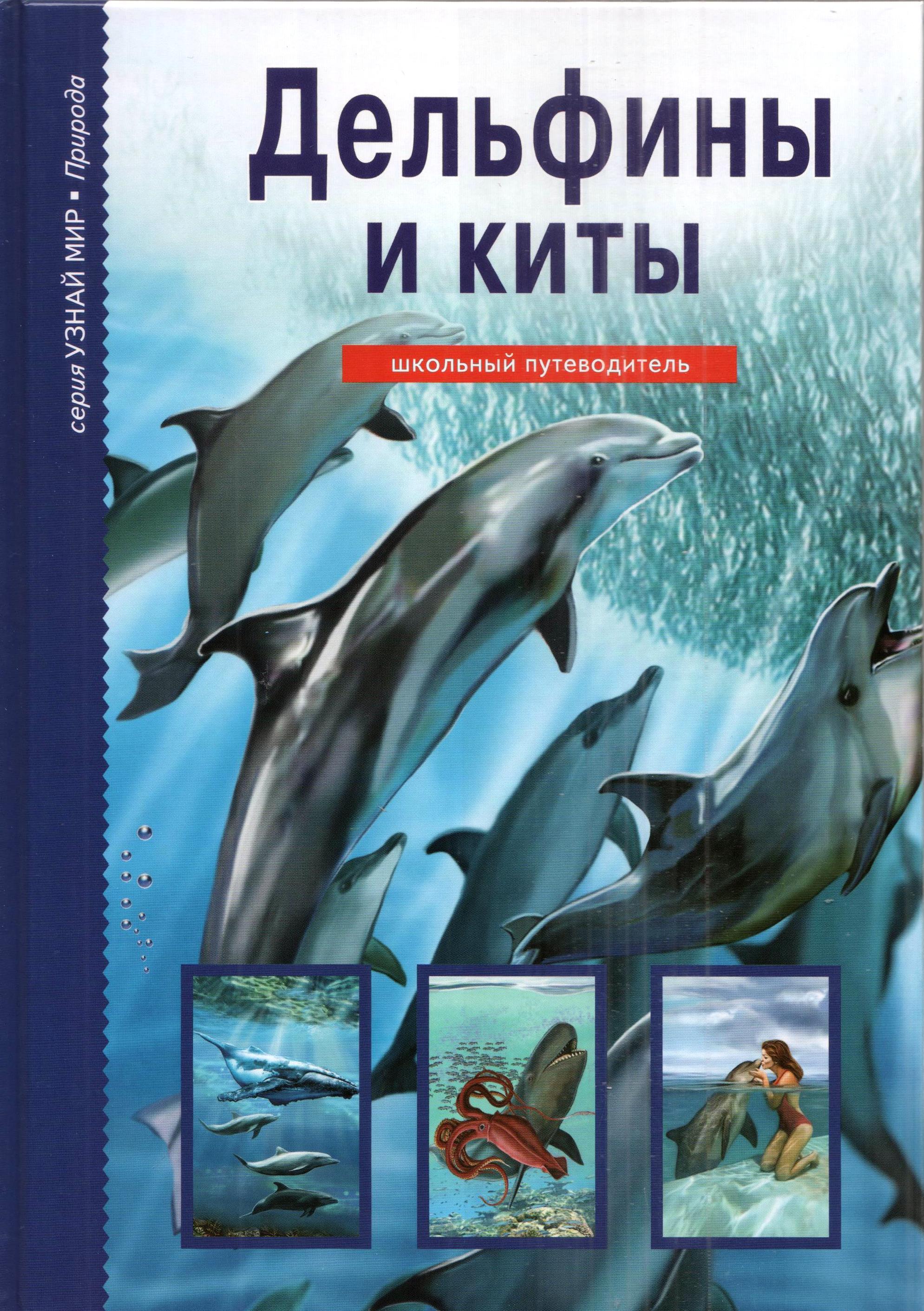 Купить Детские Художественные Книги