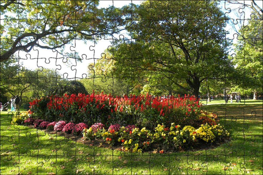 Кёкенхоф тюльпаны. Парк цветов кейкенхоф нидерланды. Flowers in the park. Нидерланды парк кекенхоф. Красивый парк.