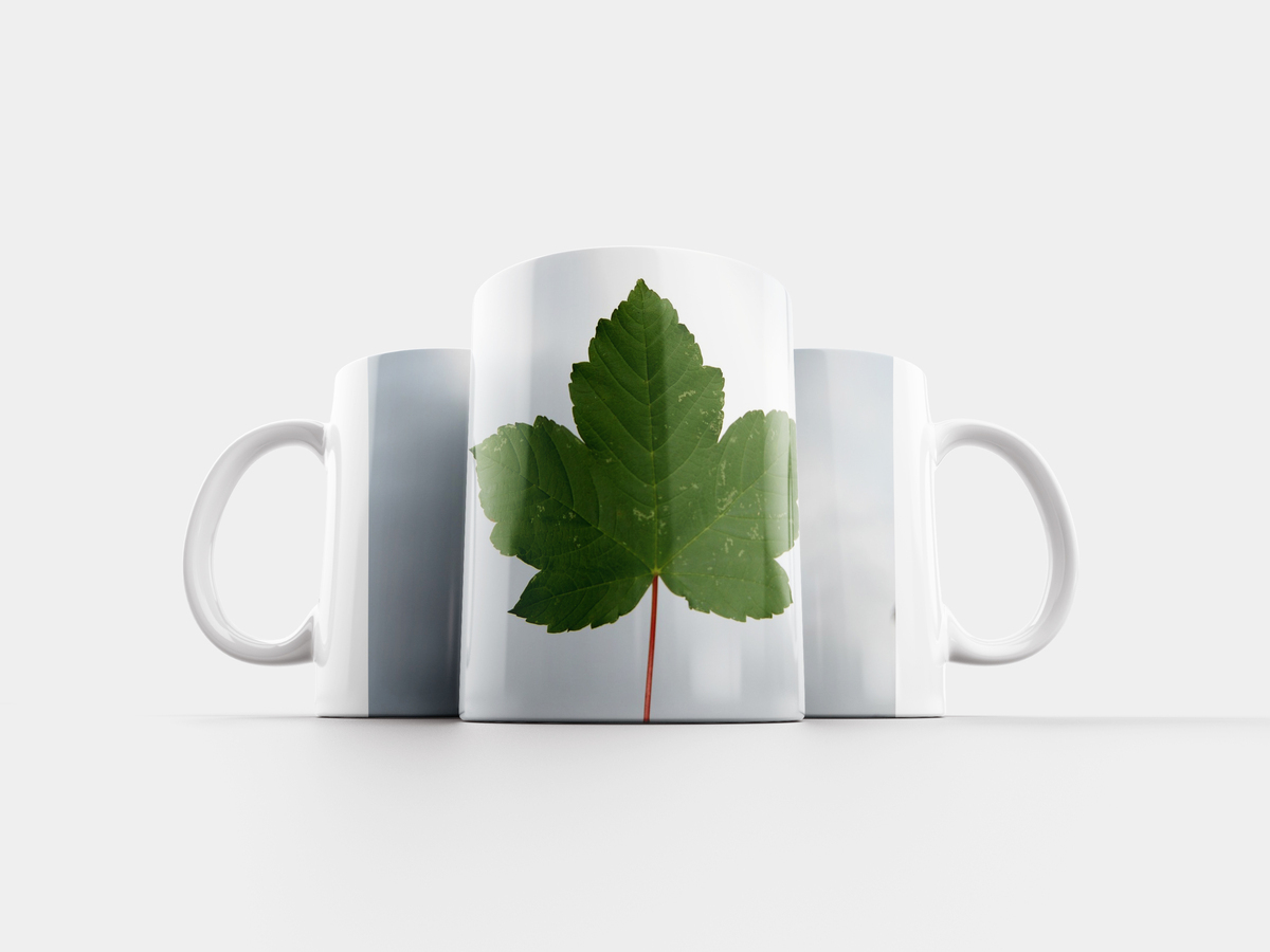 Кружка 'лист'. Чашка с листьями. Треть кружки мяты. Кружка с листом. Кружка с листом.