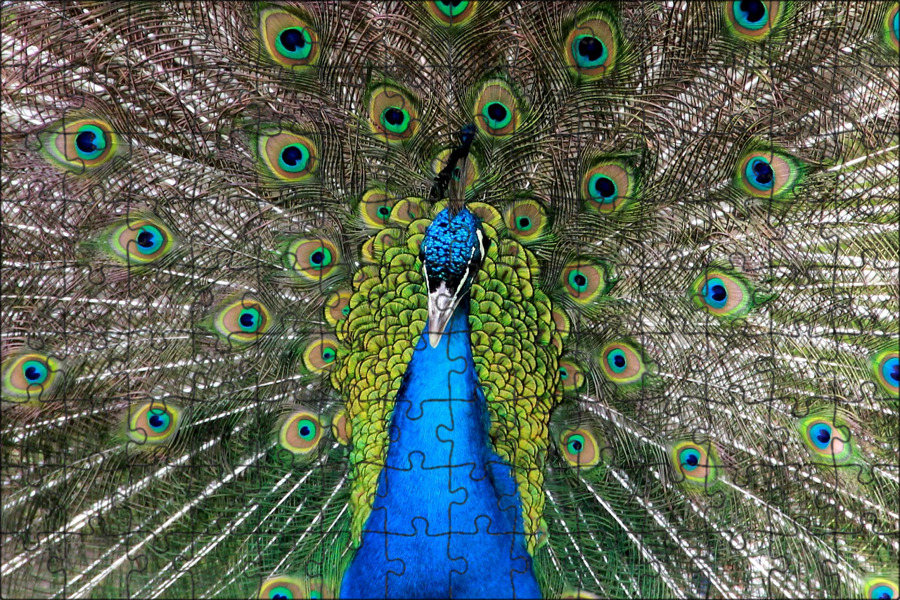 "Butterfly daytime peacock eye Aglais ." - image created in Shedevrum