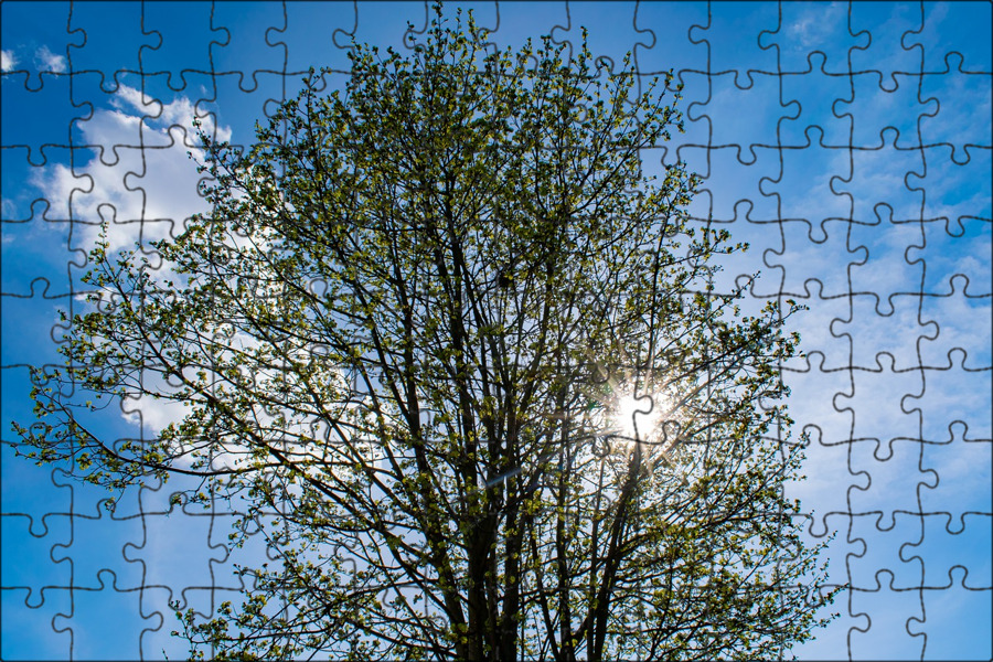 Макушка весны. Весеннее небо. Ясное весеннее небо. Весеннее небо. Макушка весны.