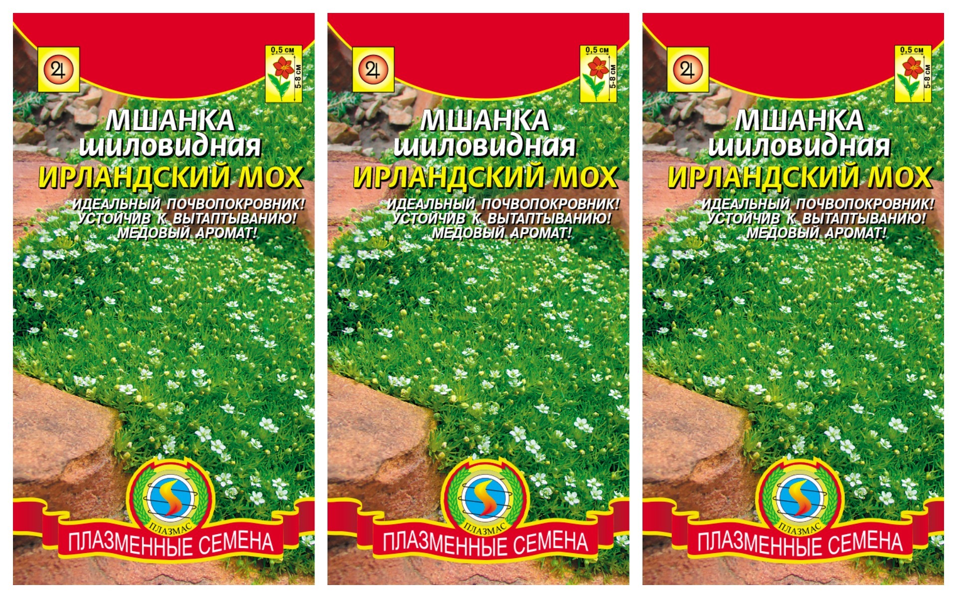 Мшанка Шиловидная Купить Семена В Леруа