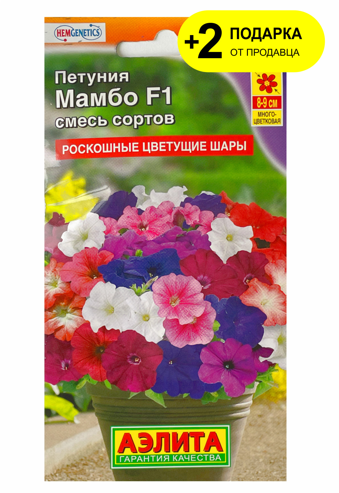 Петуния Мамбо Описание Фото Отзывы