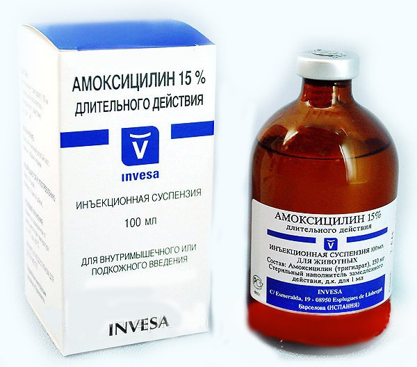 Назначение антибиотиков