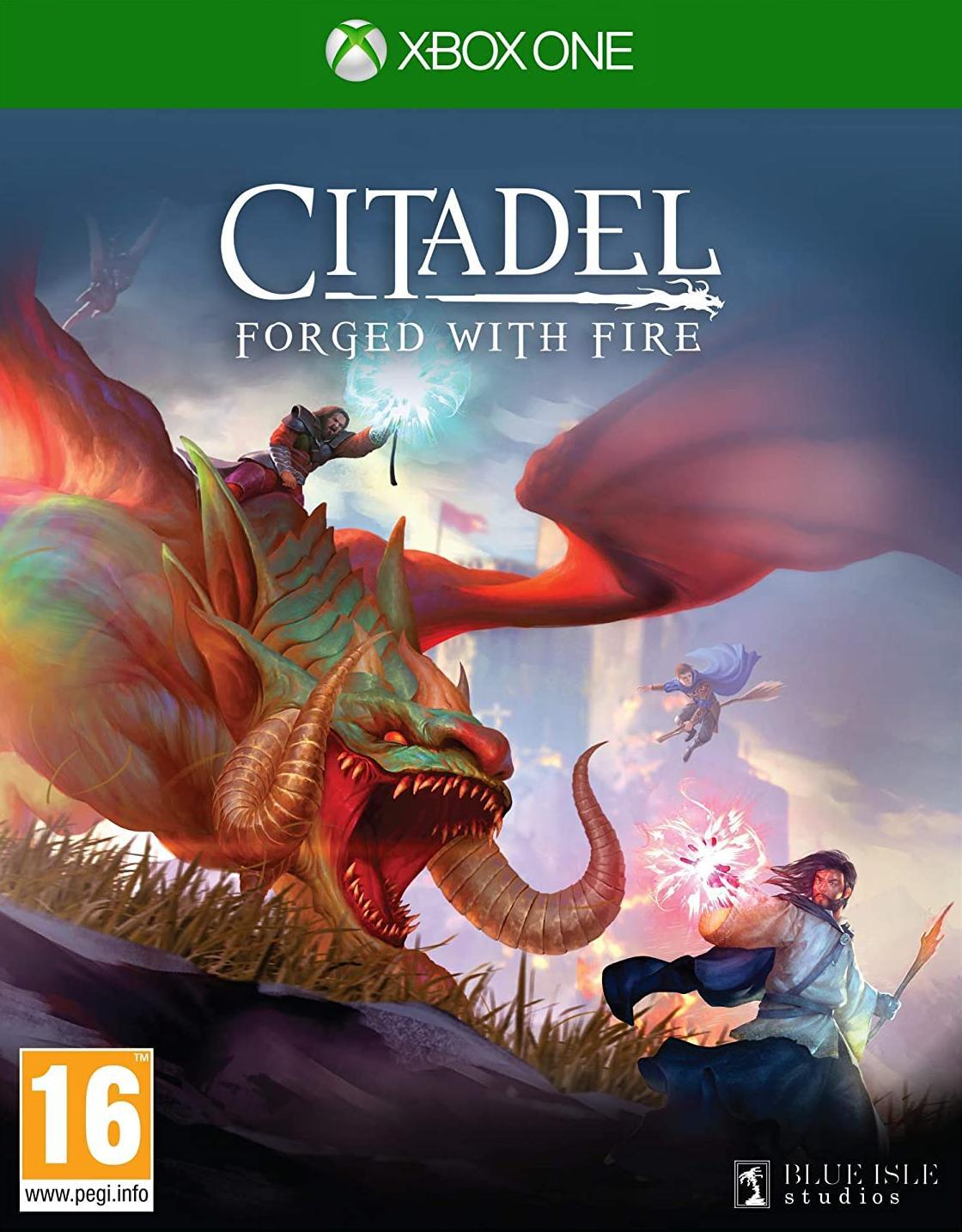 Citadel forged with fire steam фото 16