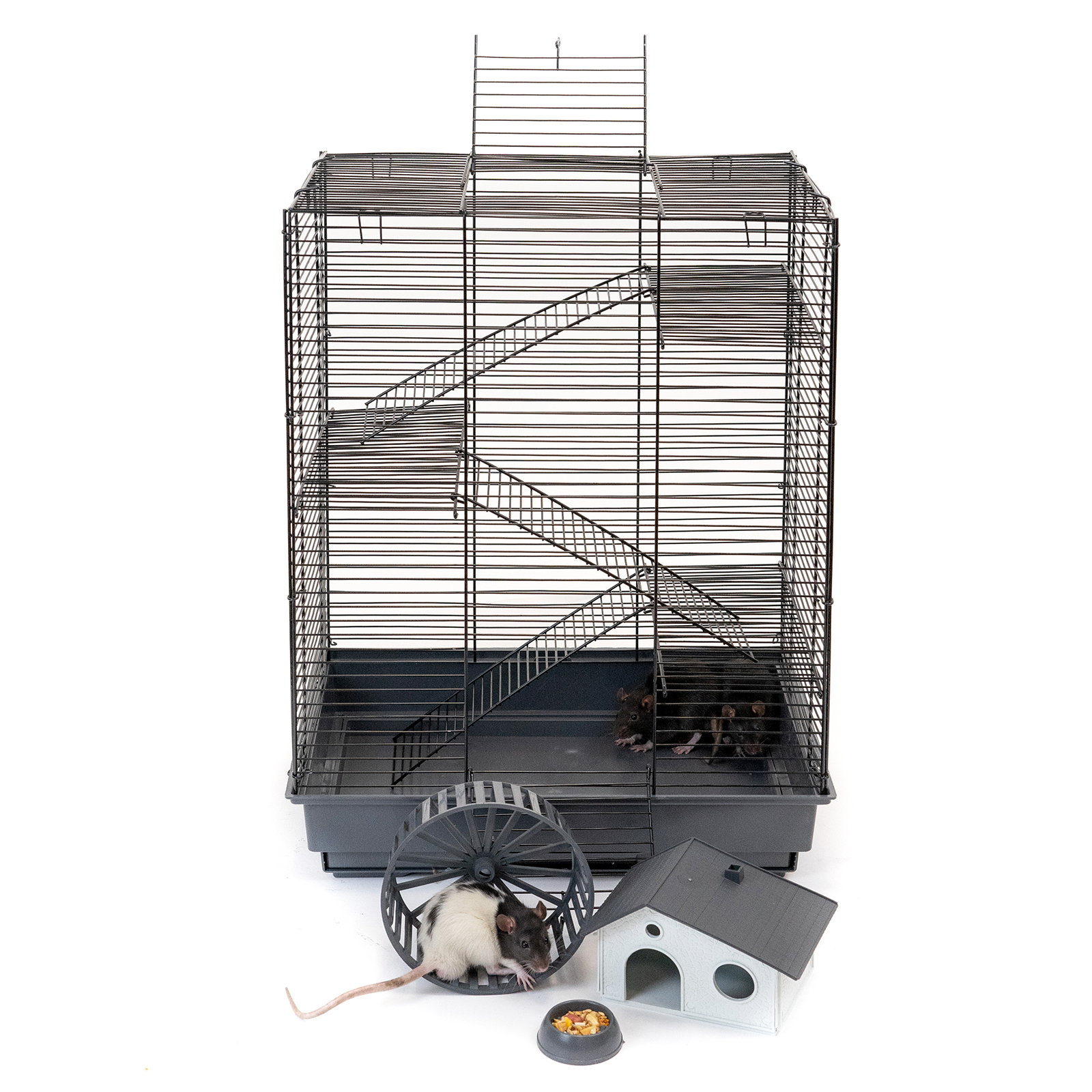 Клетка для грызунов pettails. Клетка для грызунов pettails. Клетка для грызунов triol 3304 34. 5х28х24 см. ,3эт, шаг.