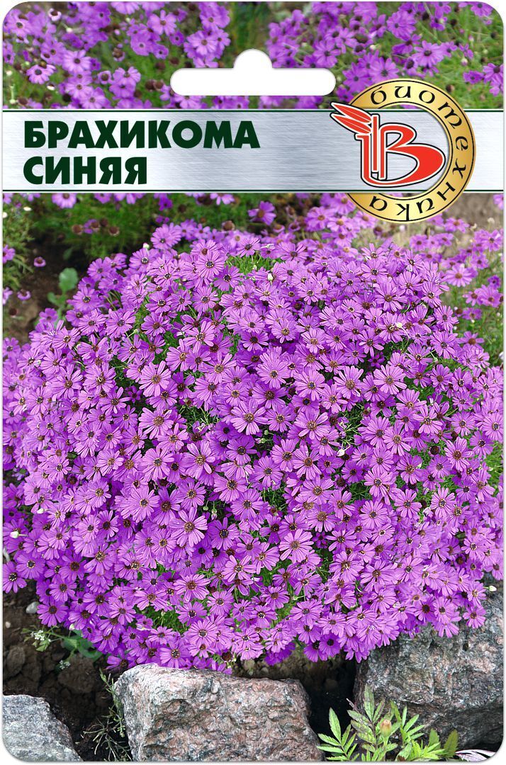 БрахикомаСиняя(семенаБИОТЕХНИКА,200шт.)