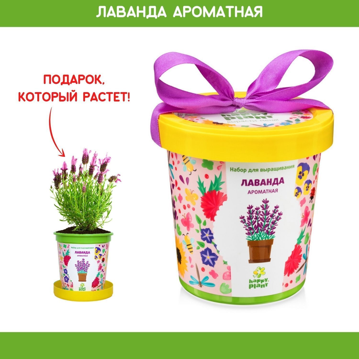 Набор для выращивания растений Happy Plant Лаванда, грунт, дренаж и семена  комнатных растений в подарочном горшке - купить с доставкой по выгодным  ценам в интернет-магазине OZON (149777829)