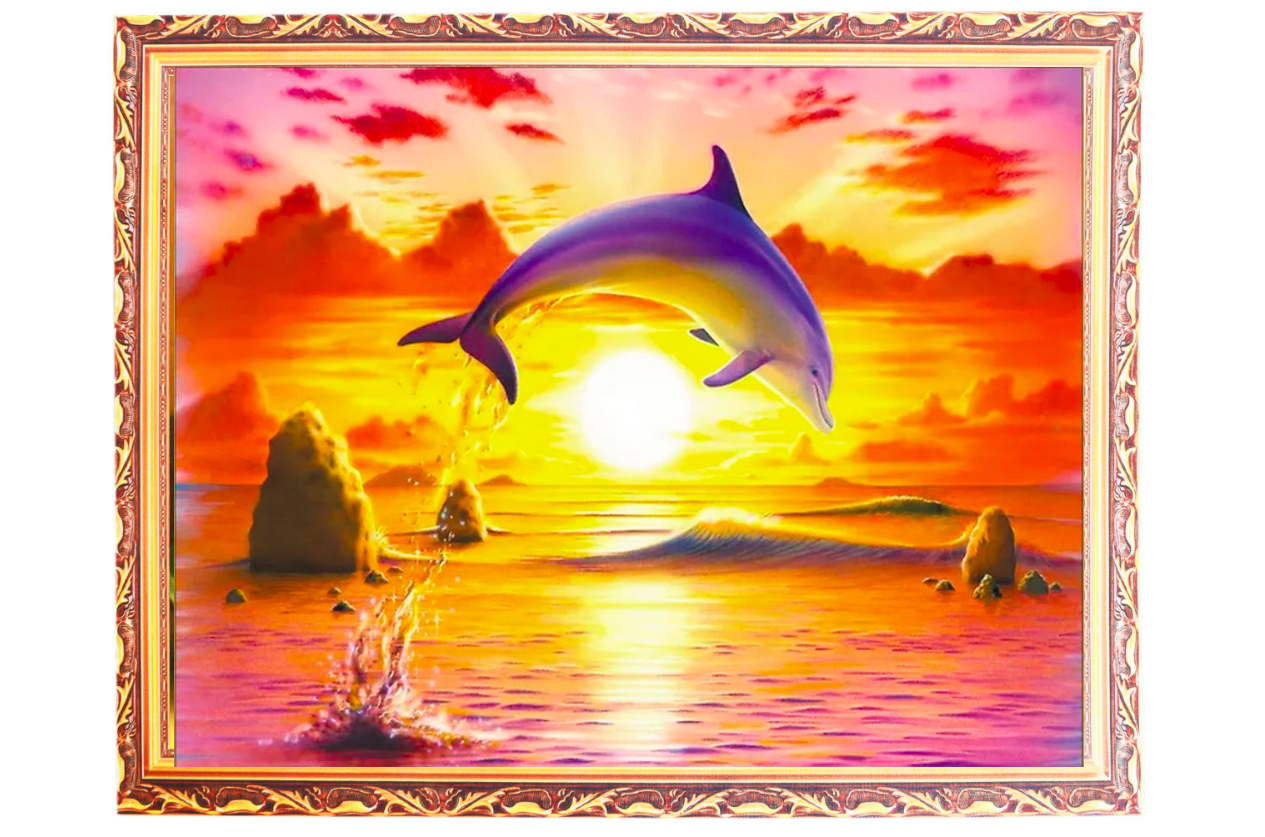 Море рассвет дельфины