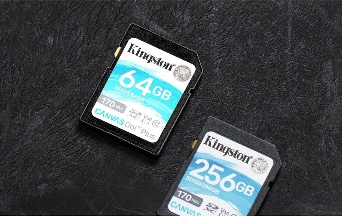 Kingston canvas go microsdxc