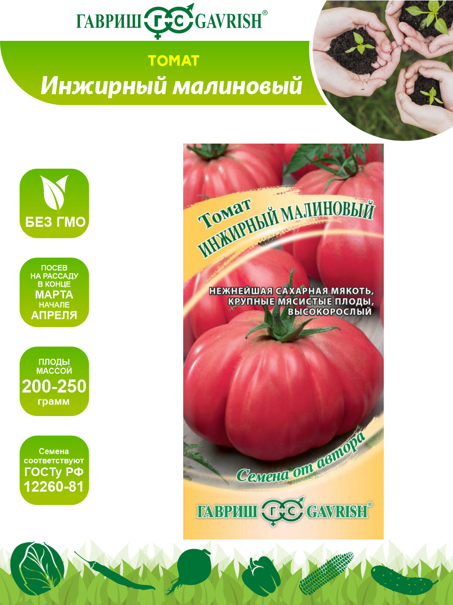 томат инжир красный отзывы фото урожайность характеристика