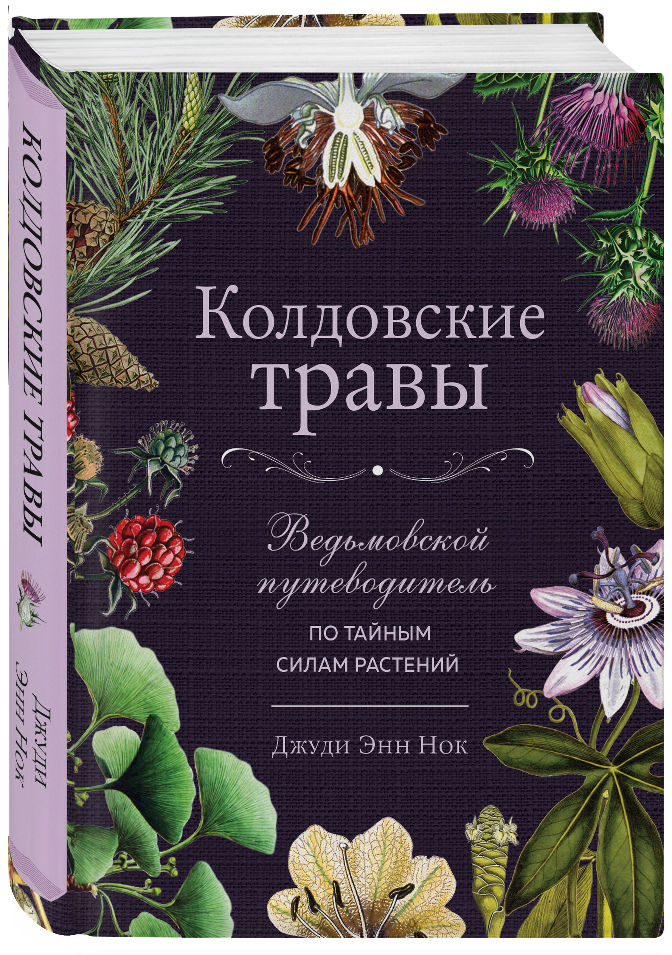 Колдовские травы. Ведьмовской путеводитель по тайным силам растений | Нок  Джуди Энн - купить с доставкой по выгодным ценам в интернет-магазине OZON  (503725516)