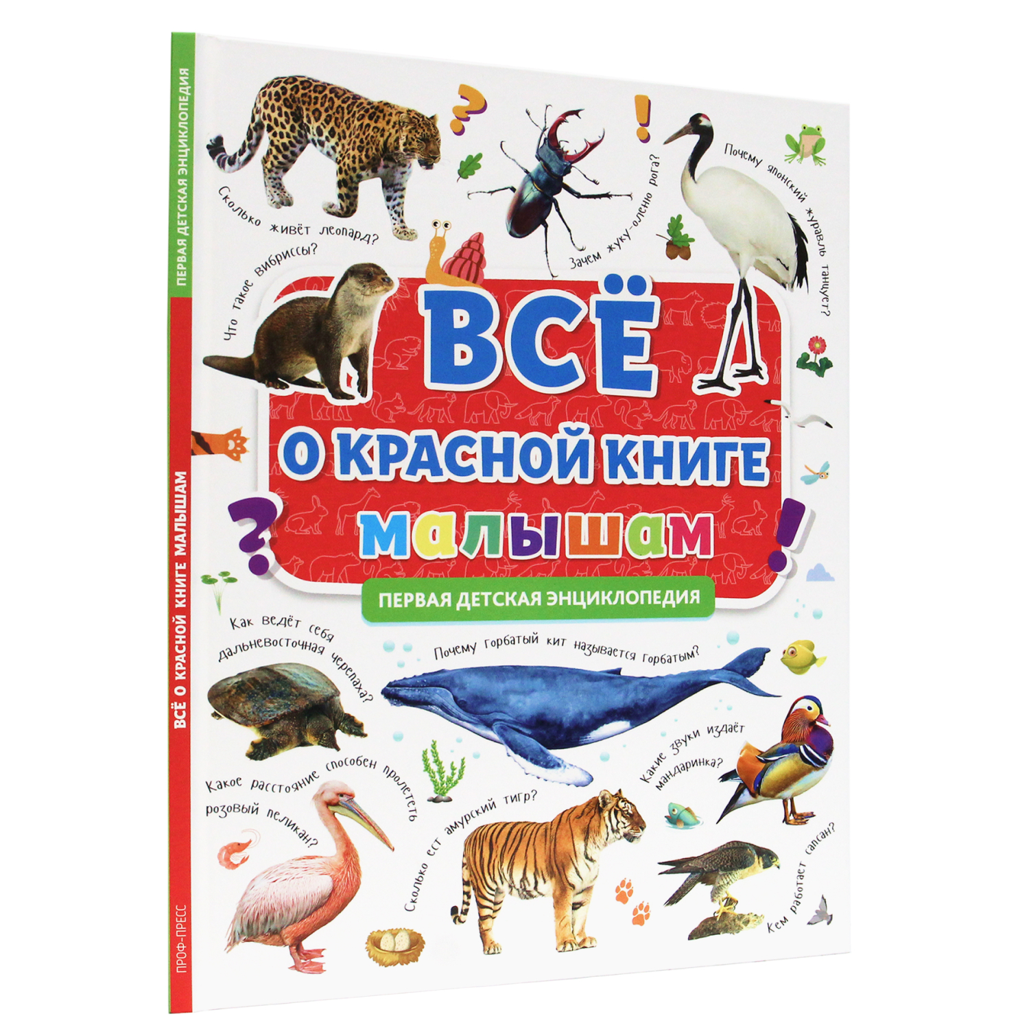 ПЕРВАЯ ДЕТСКАЯ ЭНЦИКЛОПЕДИЯ, 32 стр. - купить с доставкой по выгодным ценам  в интернет-магазине OZON (560936952)