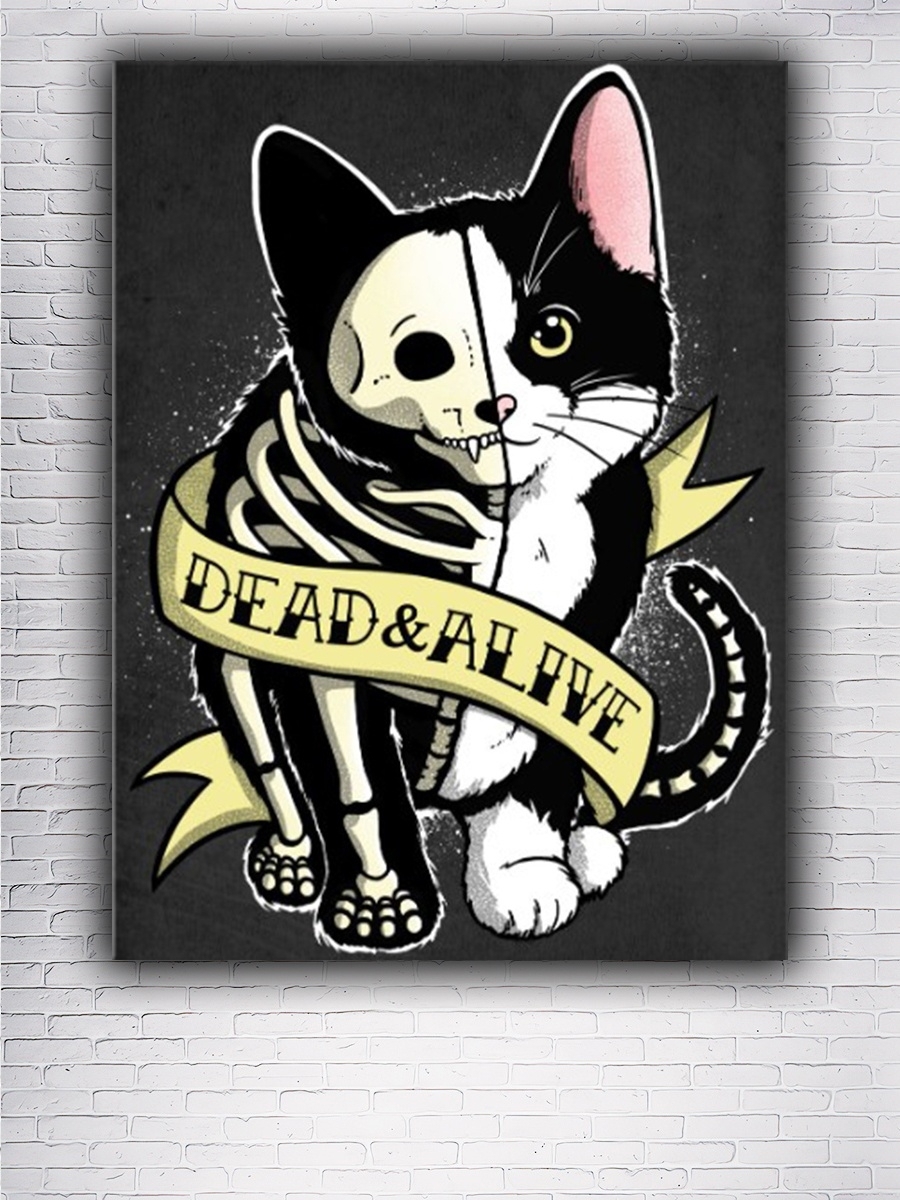 Кошка шредингера