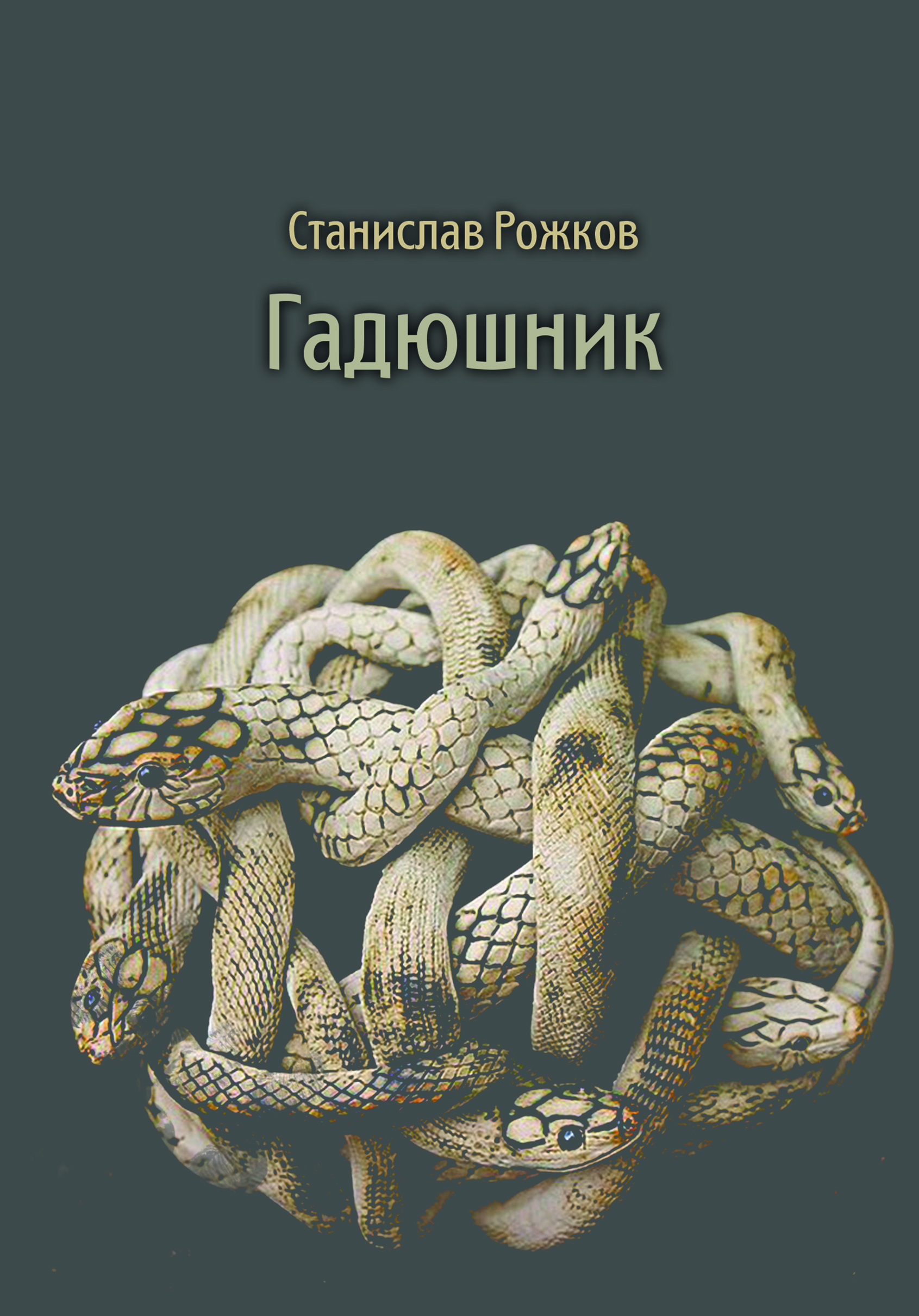 Коллектив Змей Фото