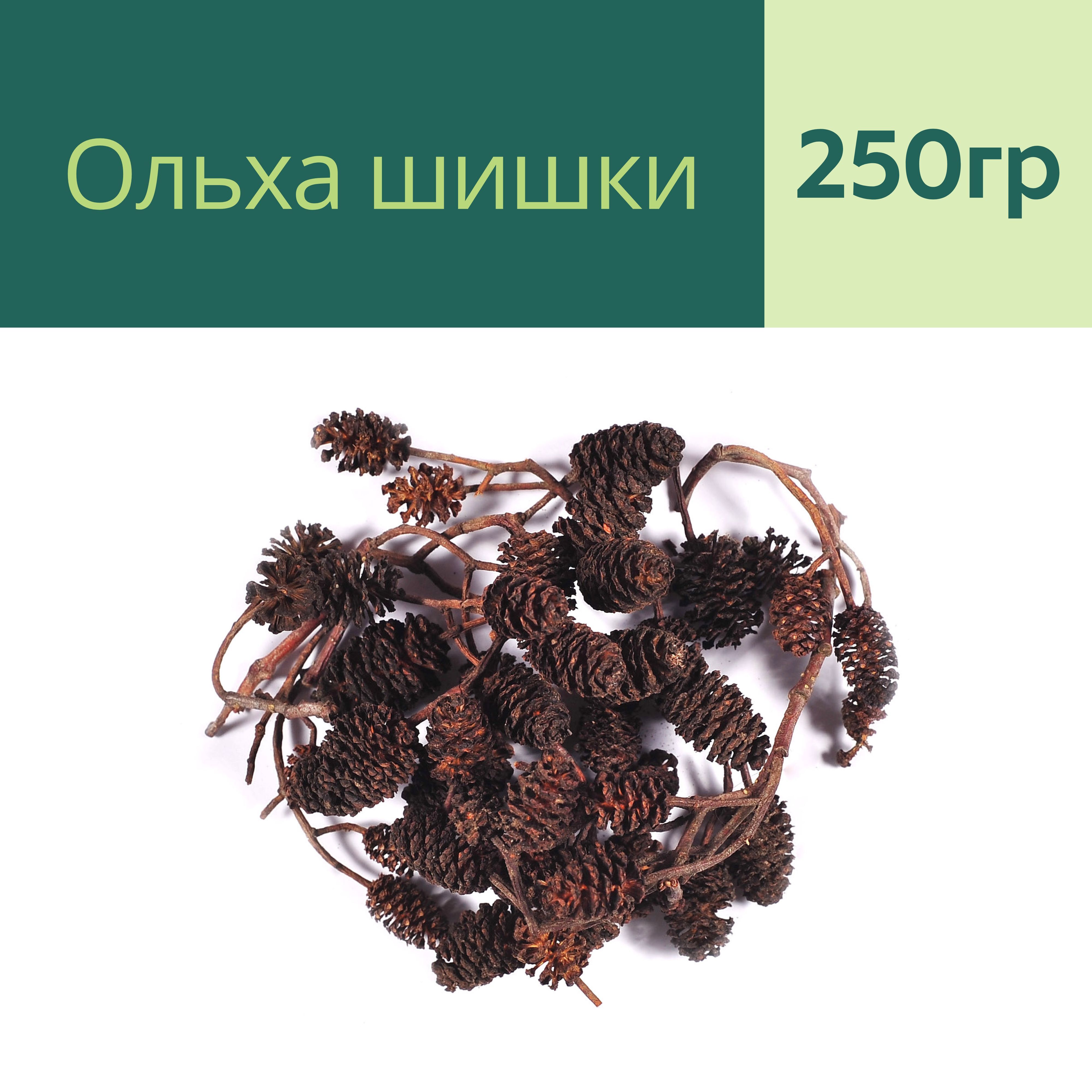 Ольха шишки (250гр) - Родные Травы - Заготавливаем лучшее. — купить в ...