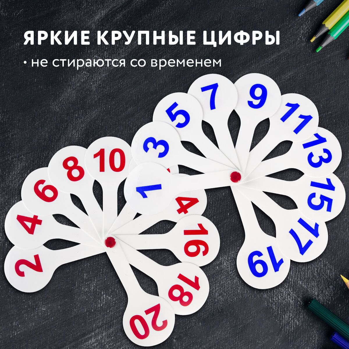 Касса-веер, цифры от 1 до 10 – купить по доступной цене в Минске - спогрт.рф