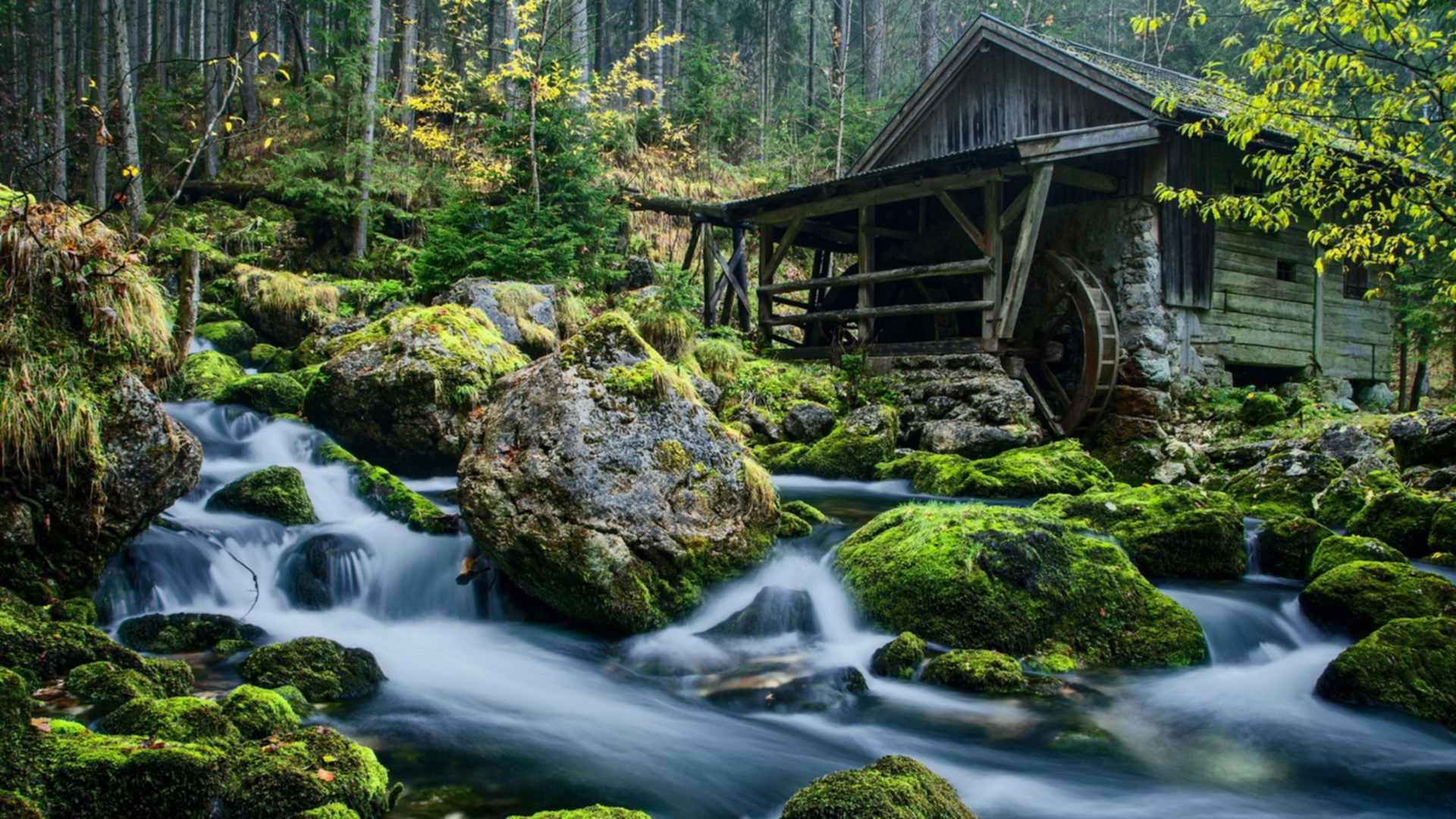 Изображение природы в