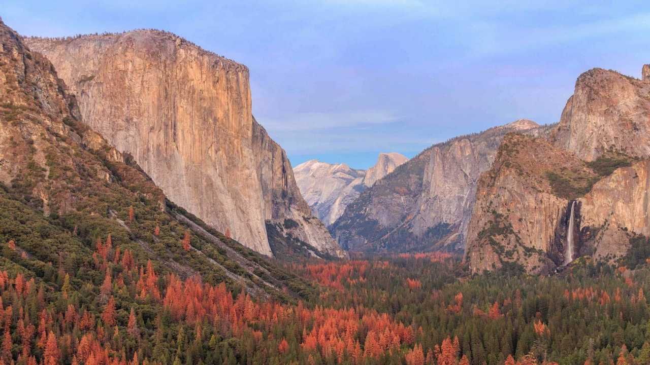 Рельеф горы. Лес рельеф. Рельеф леса. Varied Landscapes.