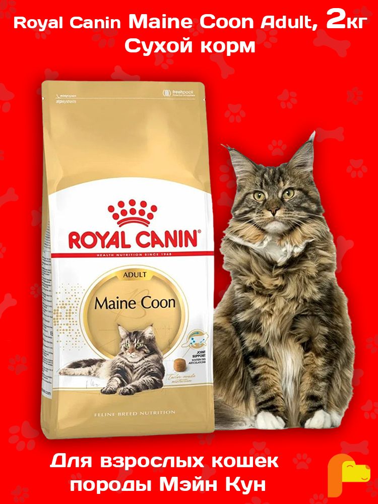 Royal Canin Maine Coon 2 Кг Купить