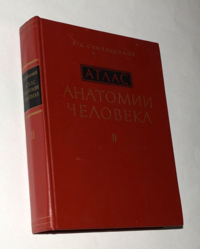 Атлас синельникова анатомия 2 том. Синельников атлас. Атлас Синельникова 1 том. Атлас Синельникова 1 том 1963 год. Синельников атлас старый.