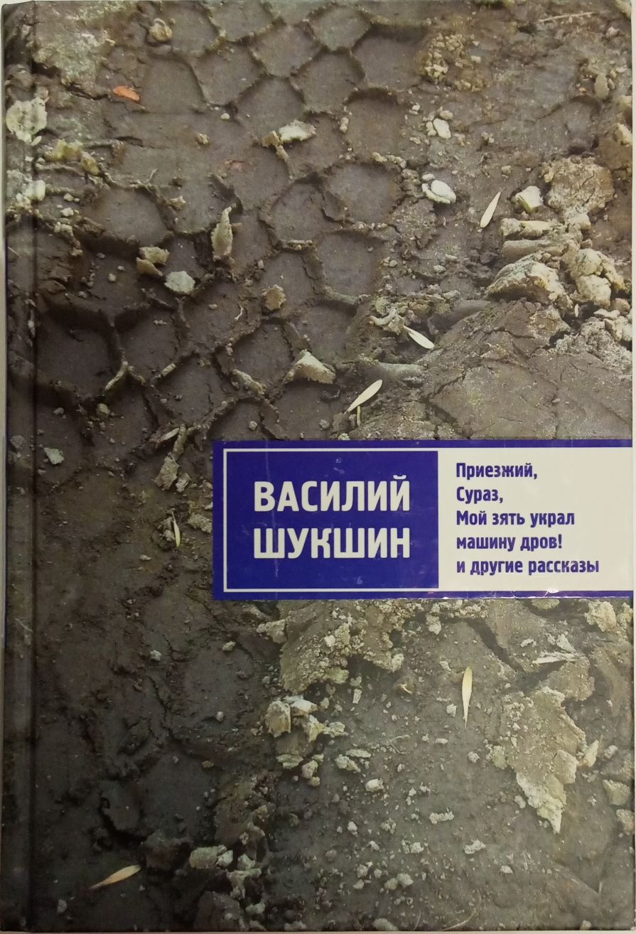 Приезжий. Сураз. Мой зять украл машину дров! и другие рассказы | Шукшин  Василий Макарович