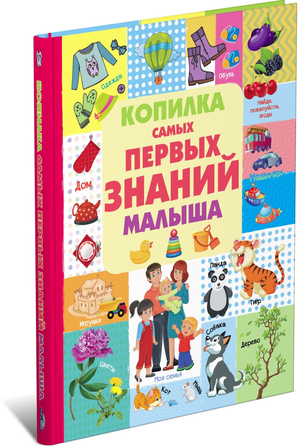 Развивающая книга 