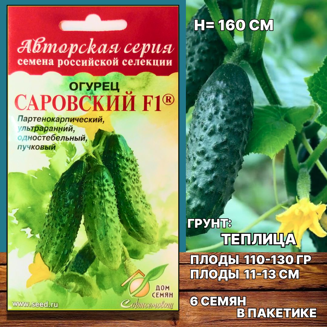 Огурцы Артист Отзывы Фото