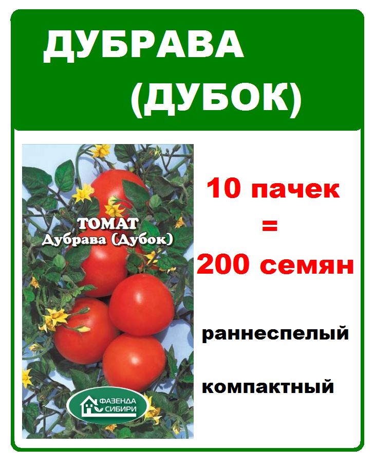 Помидор дубрава описание фото отзывы. Томат Дубок. Томат Дубрава. Томат Дубок характеристика. Дубок томат описание.