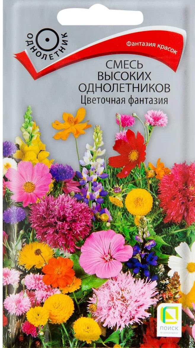 Семена цветов цена фото