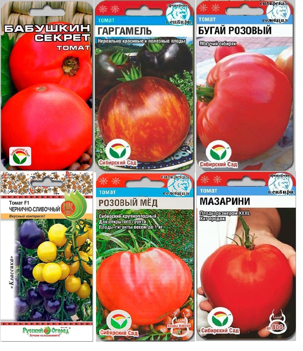 Описание сорта помидоров
