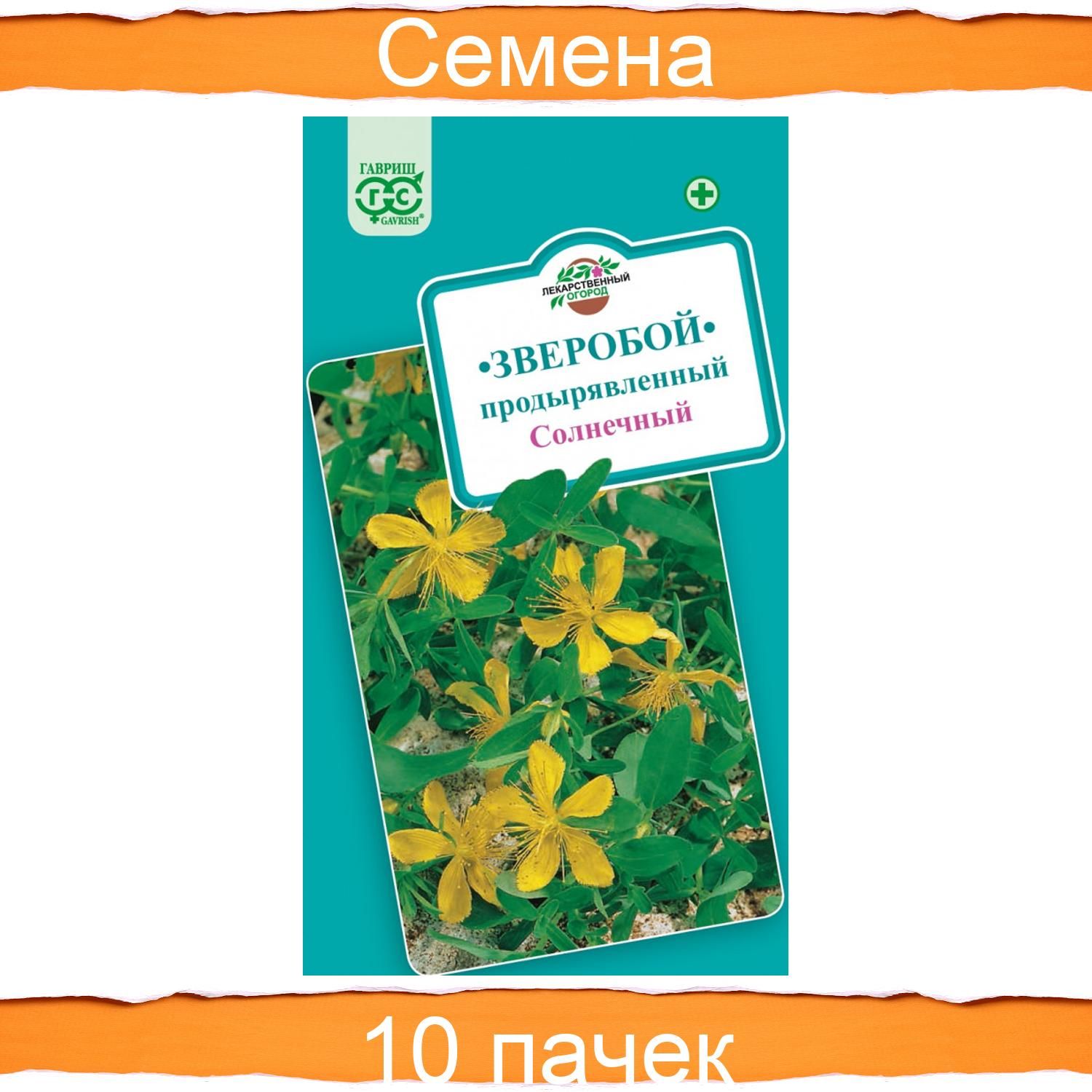 Семена зверобоя в питере. Семена зверобой продырявленный. Зверобой продырявленный оптимист (а) 0,1 гр. Семена зверобоя фото. Семена коричневые овальные мелкие.