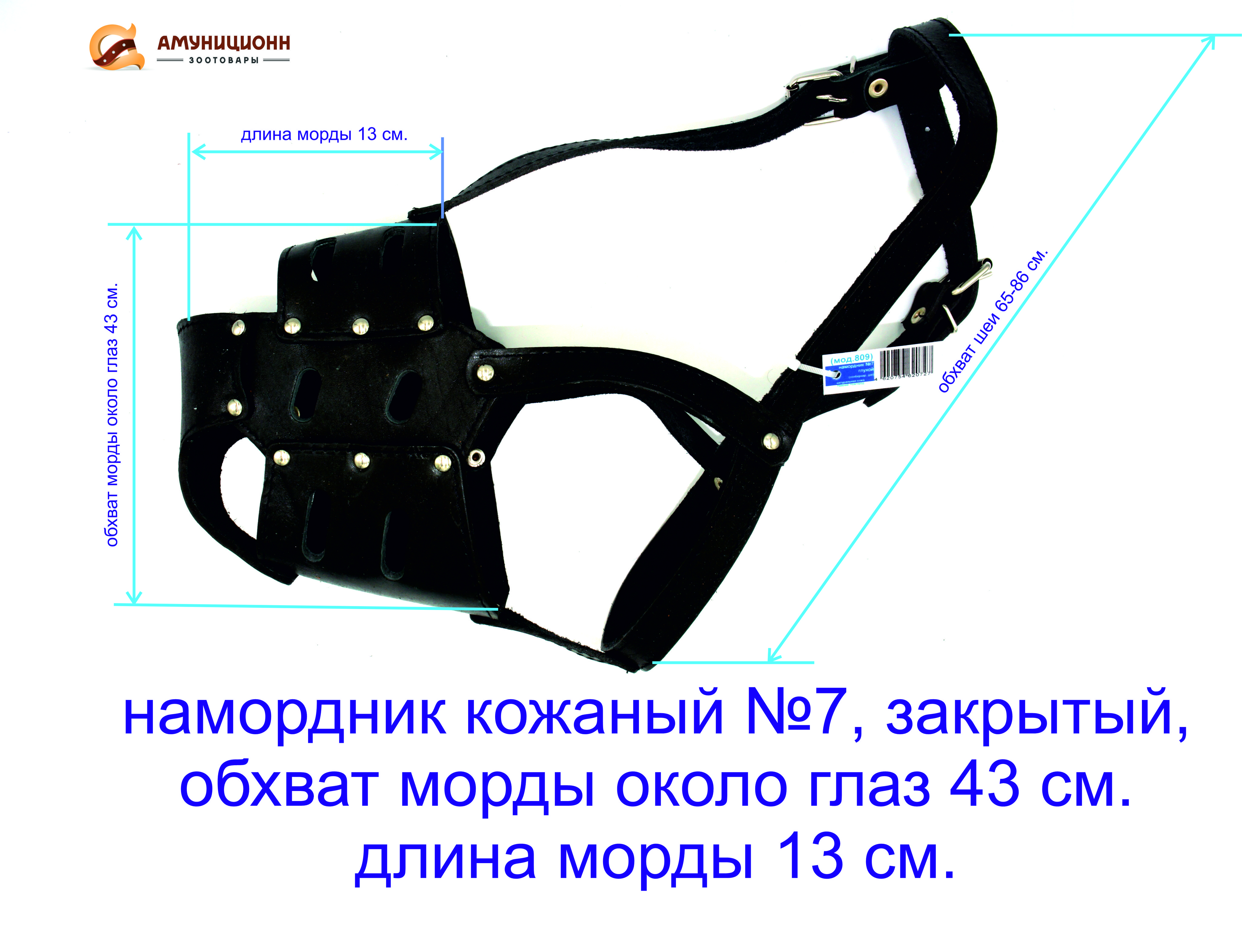 Длина морды. Намордник для сенбернара. Намордик для сэтбэрнар. Выкройка намордника для собаки из кожи. 703910 Намордник кож. Двойной 07 (v - 39 см, длинна - 10 см).