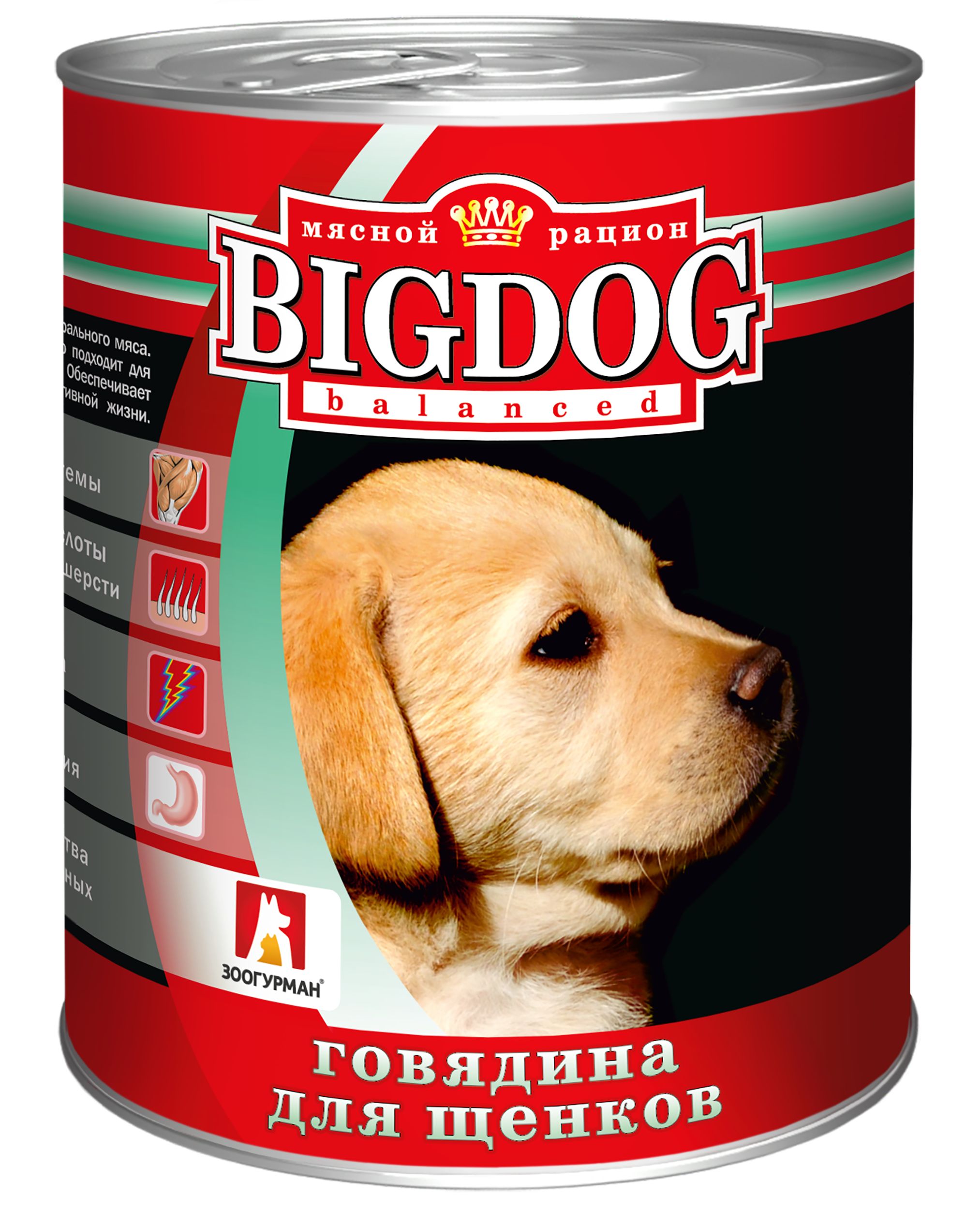 Зоогурман для собак. Зоогурман "big Dog" мясное ассорти ж/б 850гр. Биг дог консервы для собак 850 гр. Консервы для собак Биг дог Зоогурман. Зоогурман консервы для щенков "big Dog".