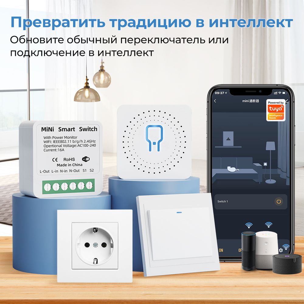 SMATRUL Мини переключатель WiFi реле Tuya WIFi mini Smart Switch 16A 2-way  Control Support Алиса, Alexa, Google Home For Smart Life App - купить с  доставкой по выгодным ценам в интернет-магазине OZON (