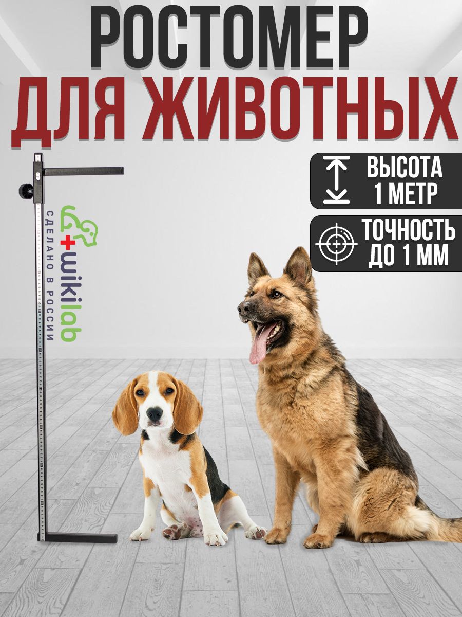 PACIFIC DOGS / .Ростомер для собак Черный | Ростомеры остатки склада!. Груминг для собак