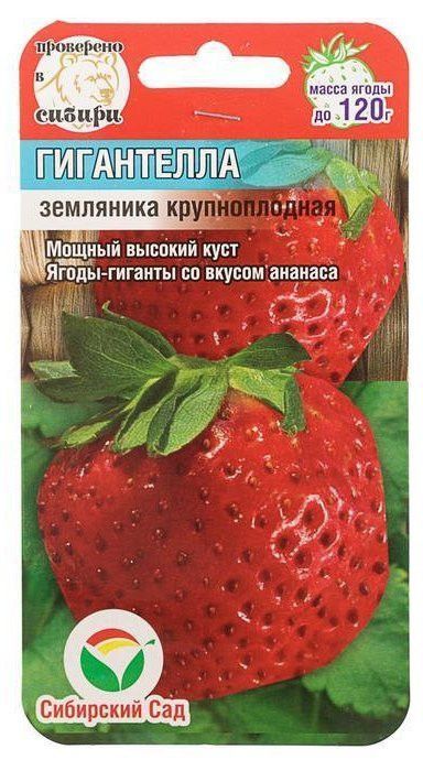 Семена сибирский сад интернет магазин. Клубника Гигантелла 10шт (СС). Семена клубники Флора 