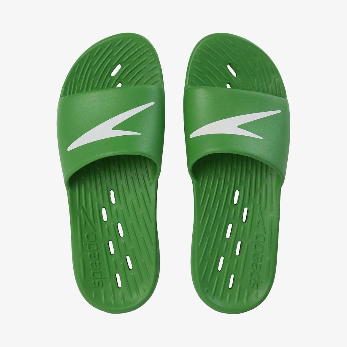 Speedo slippers best sale