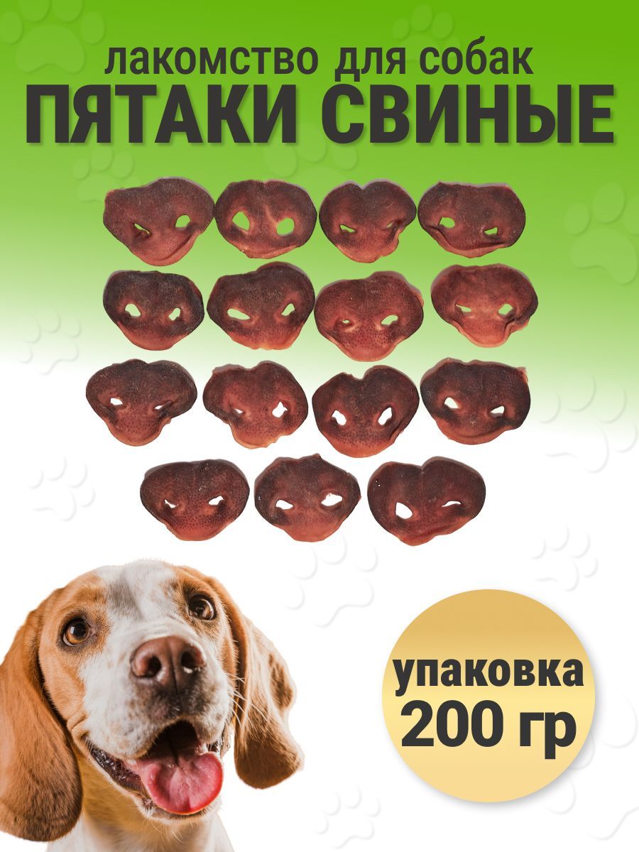 Свиные пятачки для собак. Свиные пятачки для собак