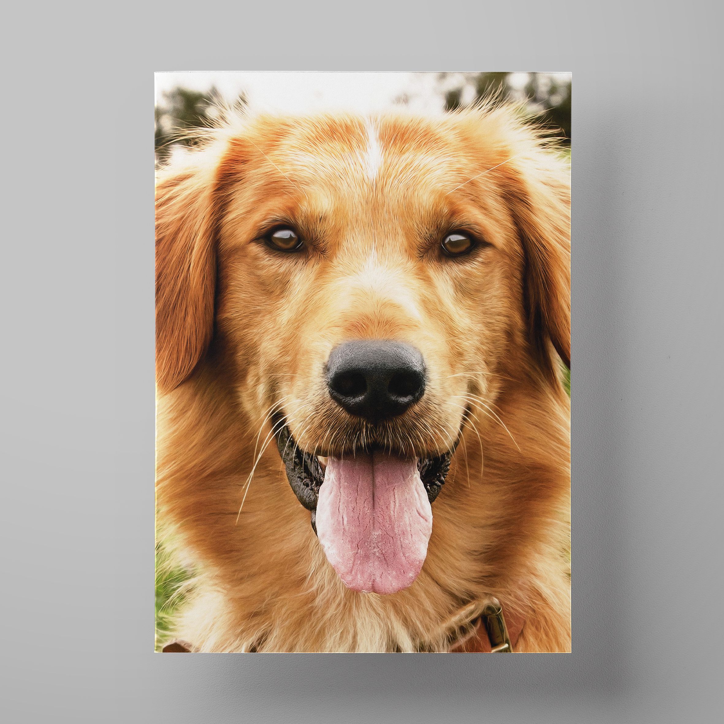 Постер собаки. Постеры с собаками. Красивые постеры с собаками. Собачья жизнь Постер. Импостер собака.
