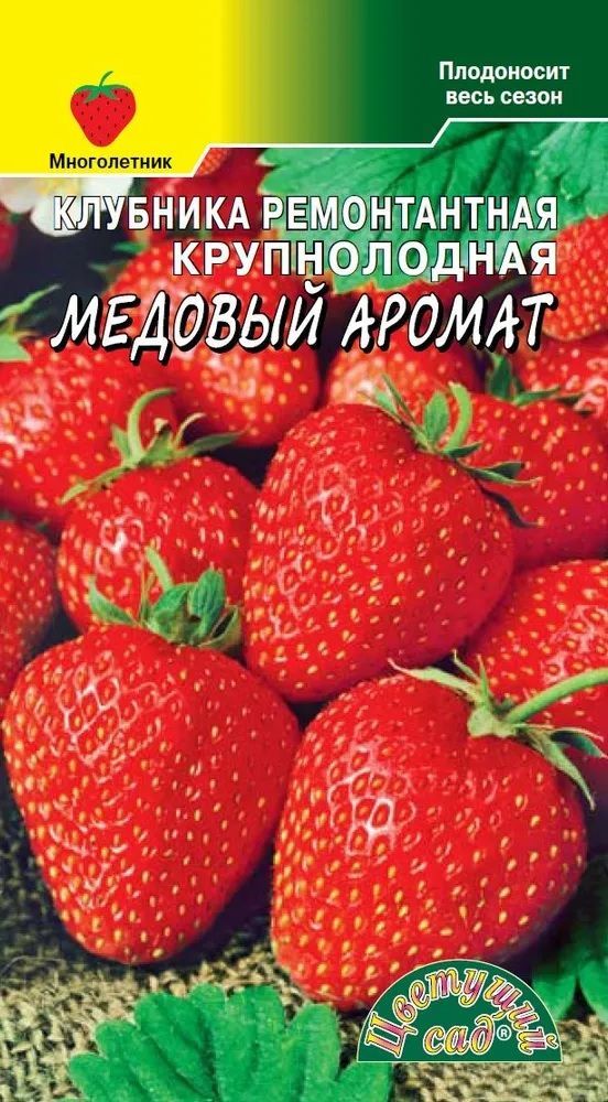 Семена Земляники Альба Купить