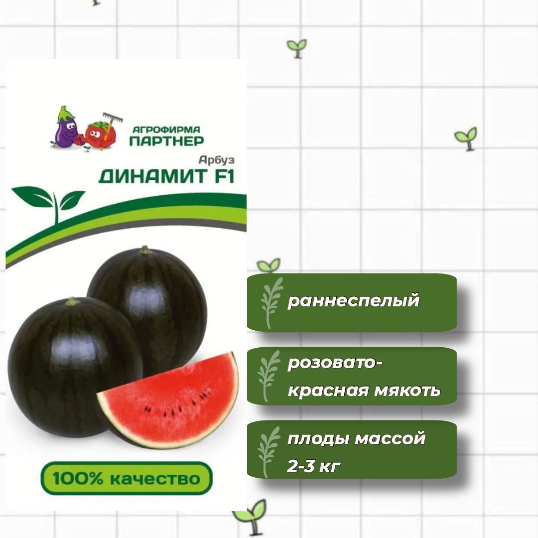 Арбуз Динамит особенности сорта характеристика плодов агротехника выращивания и ухода отзывы